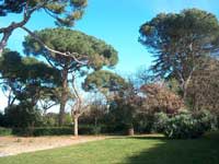 The Park