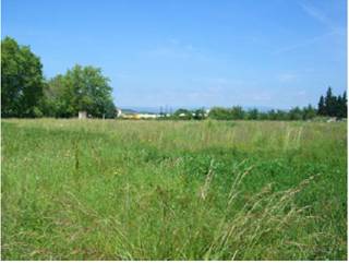 Site