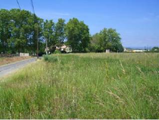 Site