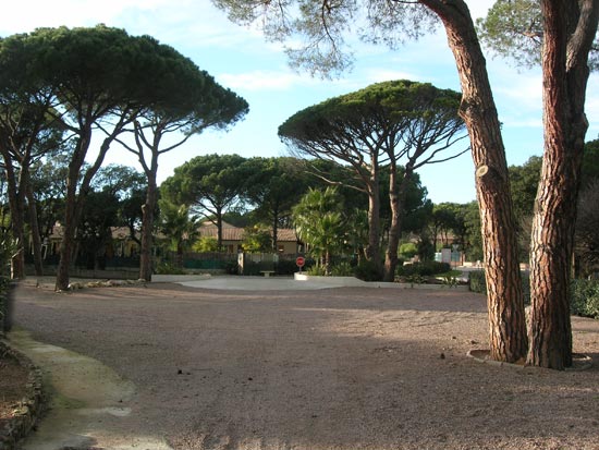 Grounds