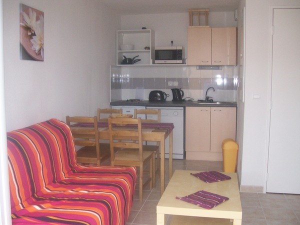 Living room and kitchen