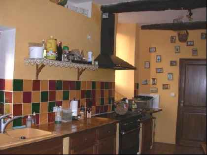 Newer-style Kitchen