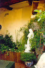 the other end of the terrace garden