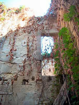 Middle Room 1