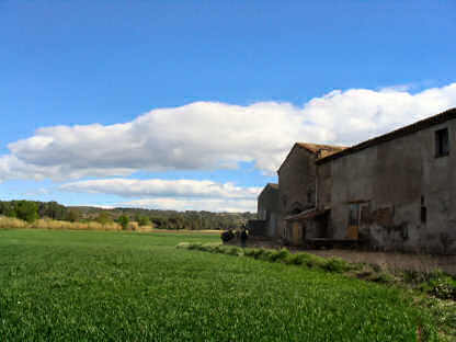 Some of the land behind the property
