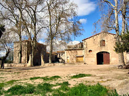 The Front of the Properties