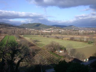 The wonderful view