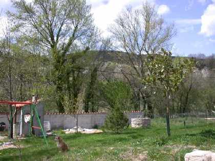 The Garden