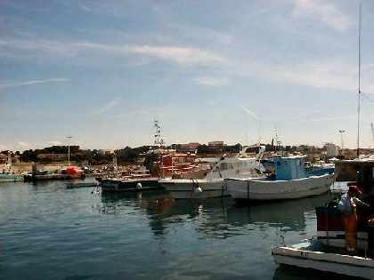 The Port