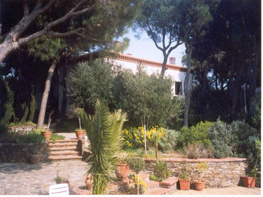 SAB0455_3.JPG