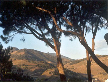 SAB0455_4.JPG