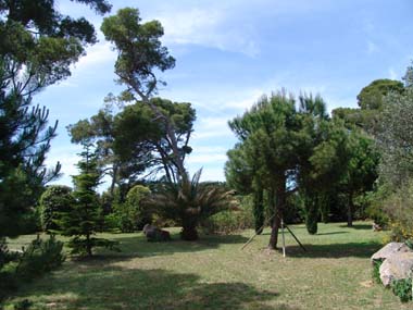 SAB0522_3.JPG