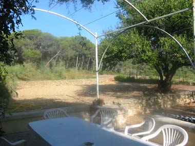 SAB0672_3.JPG