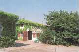 The Guest House