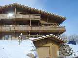 The finished chalet!