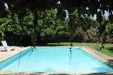 The Pool (from covered terrace)