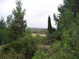 Grounds