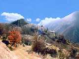 Village Summer Time