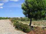 Quiet countryside, but near to the town