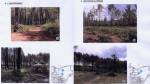 Site photos