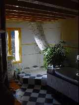 Tilish Bathroom