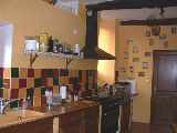 Newer-style Kitchen