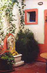 a corner of the terrace garden