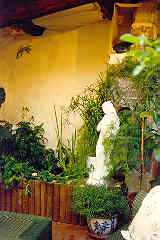 the other end of the terrace garden