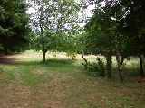 The Land