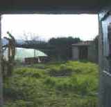 The 'Sun Trap' Garden