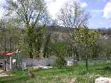 The Garden