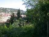 View Across Garden