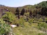 thumb_564_jardin_2b.jpg